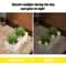 GlowintheDark Yellow Mini Duck Figurines Luminous Resin Ducks For DIY Garden Aquarium Decor 2