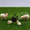 Mini Resin Sheep Family Figurine Set Micro Landscape Garden Desk Decor 3