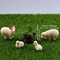 Mini Resin Sheep Family Figurine Set Micro Landscape Garden Desk Decor 3