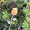 HandCarved Crystal Rose Gemstone Healing Flower Ornament Gift 8