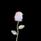 HandCarved Crystal Rose Gemstone Healing Flower Ornament Gift 16