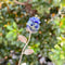 HandCarved Crystal Rose Gemstone Healing Flower Ornament Gift 20