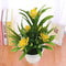 Artificial Lotus Flower Bonsai Pot Colorful Mini Fake Plant For Home Office Table Decor 0