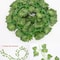 8268 In Artificial Green Ivy Leaf Garland Realistic Silk Hanging Vine For Home Garden Event Decor 8