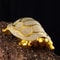 Gold Longevity Money Turtle Figurine Ceramic Desk Ornament For Wealth Home Decor 3