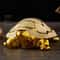 Gold Longevity Money Turtle Figurine Ceramic Desk Ornament For Wealth Home Decor 5