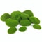 Artificial Moss Stone Balls Realistic Green Foam Flocking Rocks For Bonsai Garden Decor 2