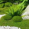Artificial Moss Stone Balls Realistic Green Foam Flocking Rocks For Bonsai Garden Decor 1