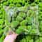 Artificial Moss Stone Balls Realistic Green Foam Flocking Rocks For Bonsai Garden Decor 3