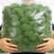 Artificial Moss Stone Balls Realistic Green Foam Flocking Rocks For Bonsai Garden Decor 5