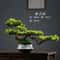 Artificial Welcome Pine Bonsai Tree Four Seasons Desktop Landscape Plant For Home Office Decor 1
