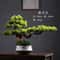 Artificial Welcome Pine Bonsai Tree Four Seasons Desktop Landscape Plant For Home Office Decor 2