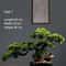 Artificial Welcome Pine Bonsai Tree Four Seasons Desktop Landscape Plant For Home Office Decor 6