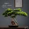 Artificial Welcome Pine Bonsai Tree Four Seasons Desktop Landscape Plant For Home Office Decor 7