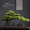 Artificial Welcome Pine Bonsai Tree Four Seasons Desktop Landscape Plant For Home Office Decor 11