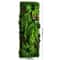 Artificial Grass Moss Wall Panel Subtropical Greenery Hanging Decor For Home Outdoor Spaces 1574 3