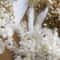 Preserved Dried Hydrangea Flower Set Real Floral Materials For Resin Candle DIY Crafts 3
