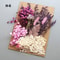 Preserved Dried Hydrangea Flower Set Real Floral Materials For Resin Candle DIY Crafts 11