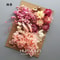 Preserved Dried Hydrangea Flower Set Real Floral Materials For Resin Candle DIY Crafts 14