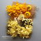 Preserved Dried Hydrangea Flower Set Real Floral Materials For Resin Candle DIY Crafts 15