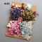 Preserved Dried Hydrangea Flower Set Real Floral Materials For Resin Candle DIY Crafts 28