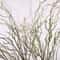Artificial Willow Deadwood Branch Elegant 4724 In Realistic Decorative Tree Stem For Modern Home D 0