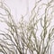 Artificial Willow Deadwood Branch Elegant 4724 In Realistic Decorative Tree Stem For Modern Home D 0