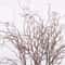 Artificial Willow Deadwood Branch Elegant 4724 In Realistic Decorative Tree Stem For Modern Home D 2