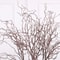 Artificial Willow Deadwood Branch Elegant 4724 In Realistic Decorative Tree Stem For Modern Home D 2