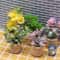 Miniature Dollhouse Potted Plants Realistic Greenery Decor For 112 Scale Mini Garden DIY Scenes 0