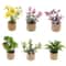 Miniature Dollhouse Potted Plants Realistic Greenery Decor For 112 Scale Mini Garden DIY Scenes 2