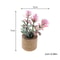 Miniature Dollhouse Potted Plants Realistic Greenery Decor For 112 Scale Mini Garden DIY Scenes 5