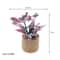 Miniature Dollhouse Potted Plants Realistic Greenery Decor For 112 Scale Mini Garden DIY Scenes 6