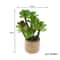 Miniature Dollhouse Potted Plants Realistic Greenery Decor For 112 Scale Mini Garden DIY Scenes 7