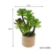 Miniature Dollhouse Potted Plants Realistic Greenery Decor For 112 Scale Mini Garden DIY Scenes 7