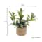 Miniature Dollhouse Potted Plants Realistic Greenery Decor For 112 Scale Mini Garden DIY Scenes 8