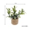 Miniature Dollhouse Potted Plants Realistic Greenery Decor For 112 Scale Mini Garden DIY Scenes 8