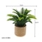 Miniature Dollhouse Potted Plants Realistic Greenery Decor For 112 Scale Mini Garden DIY Scenes 9