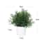 Artificial Bonsai Potted Plant Realistic Mini Tree Decor For Home Office Garden Display 7