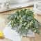 Lush Evergreen Artificial Eucalyptus Stem Set Realistic Greenery Decor For Weddings Modern Home S