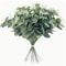 Lush Evergreen Artificial Eucalyptus Stem Set Realistic Greenery Decor For Weddings Modern Home S