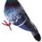 Lifelike Grey Dove Decorative Figurine Realistic Artificial Bird For Home Events Photography Prop 3