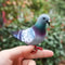 Lifelike Grey Dove Decorative Figurine Realistic Artificial Bird For Home Events Photography Prop 1