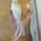 Lifelike Grey Dove Decorative Figurine Realistic Artificial Bird For Home Events Photography Prop 9