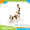 CozyPaws Lying Orange Cat Figurine Cute Mini Pet Desktop Decor For Home Office 7