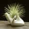 Elegant Hand Ceramic Air Plant Holder White Porcelain Tillandsia Stand For Desk Home Decor 0