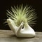 Elegant Hand Ceramic Air Plant Holder White Porcelain Tillandsia Stand For Desk Home Decor 0