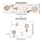 Dream Sky Balloon Animal Wall Stickers Cute Cartoon Nursery Decals For Kids Room Decor 15