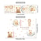 Dream Sky Balloon Animal Wall Stickers Cute Cartoon Nursery Decals For Kids Room Decor 21