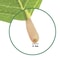Ever Green Magnolia Leaf Set 25pcs Realistic PU Artificial Leaves For DIY Floral Home Decor 3